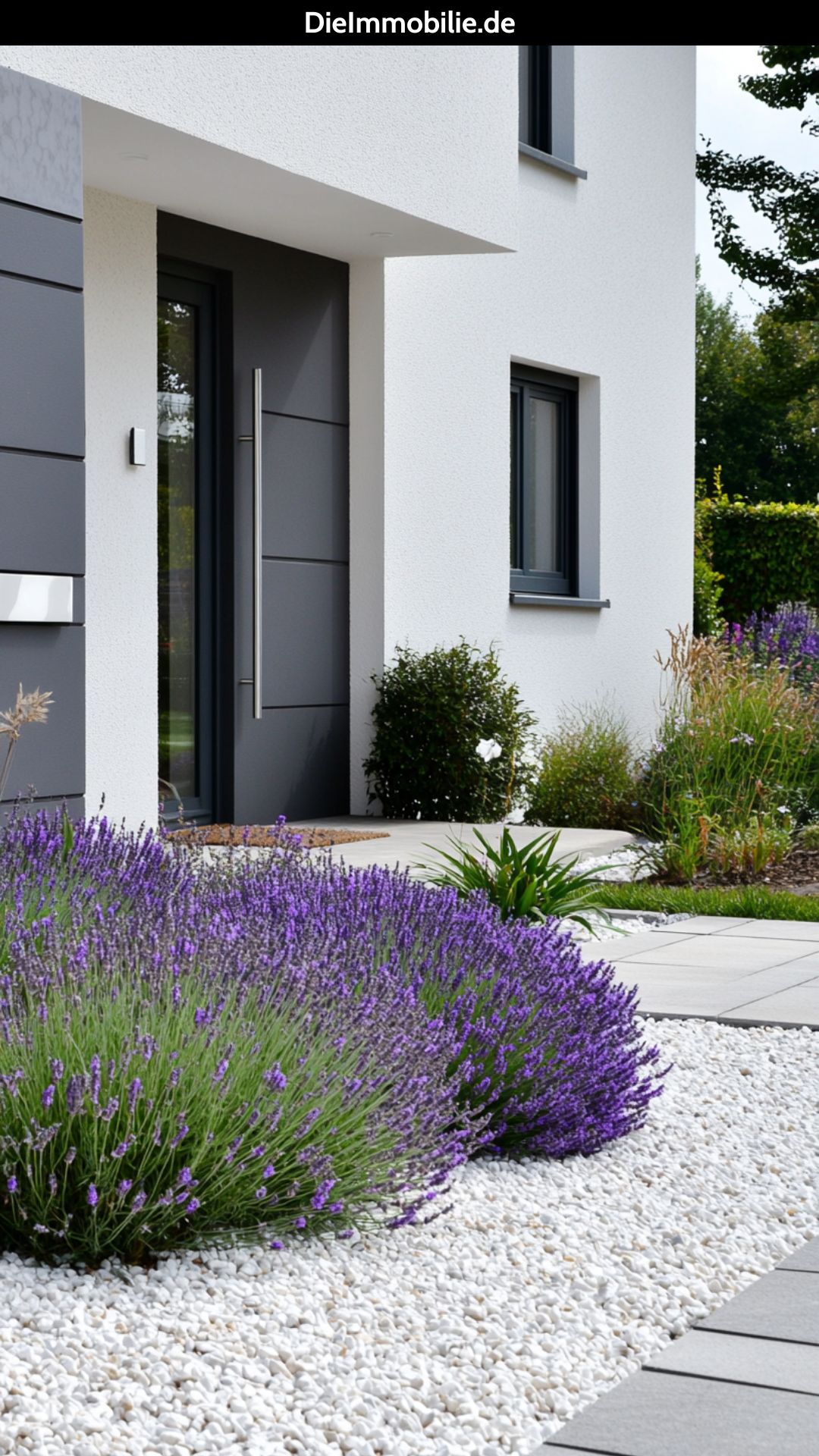 lavendel-weisser-kies-vorgartengestaltung-modern Moderne Vorgartengestaltung mit Holzwegen und Kiesflächen